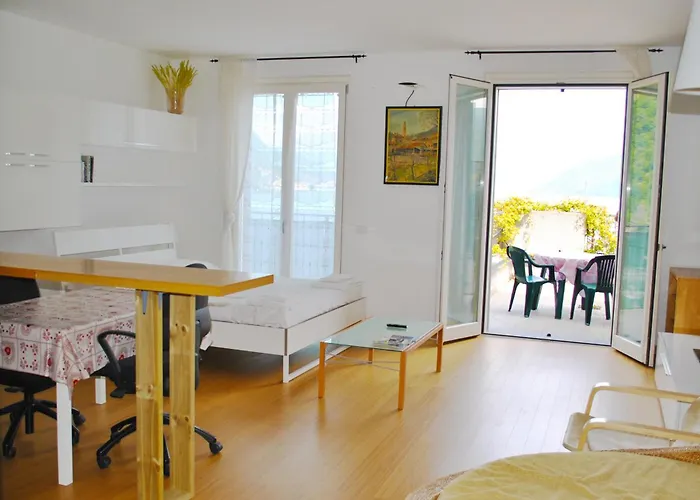 Open Space With Terrace Lejlighed *